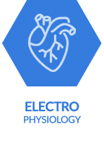 Electrophysiology